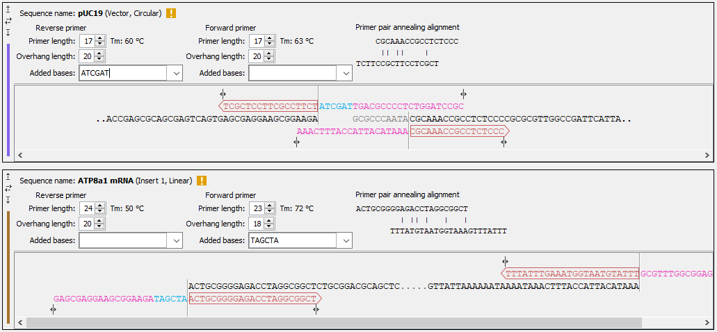 Image cloning_wizard_sequences