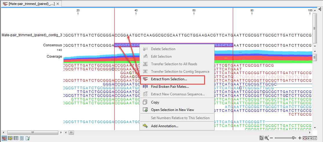 Image extract_selection_from_samapping