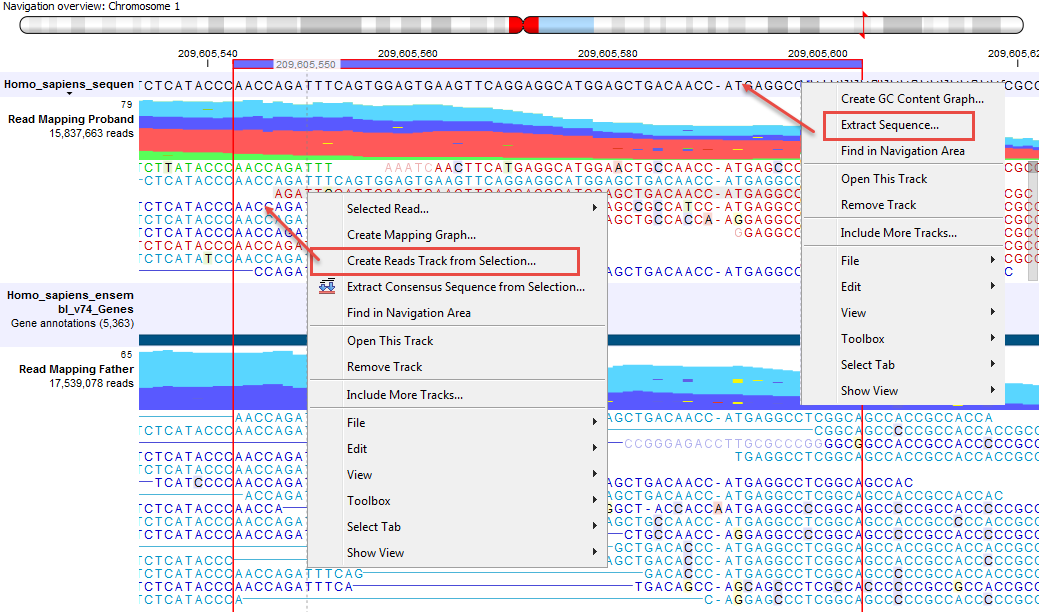 Image extractsequence