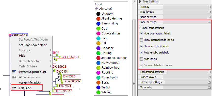 Image internalnode