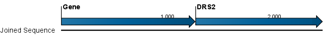 Image joinsequencesoutput