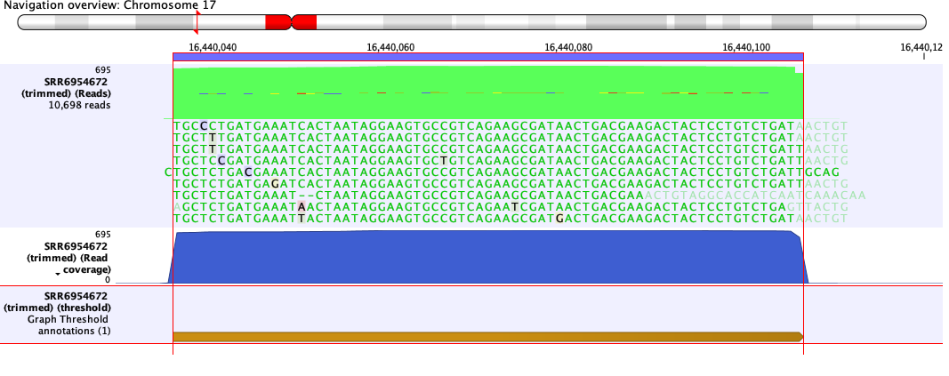 Image potential_novel_mirna_region