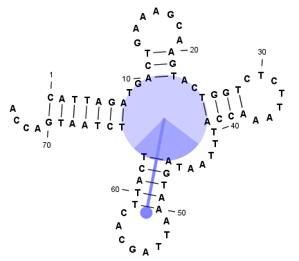 Image rotate_structure_2