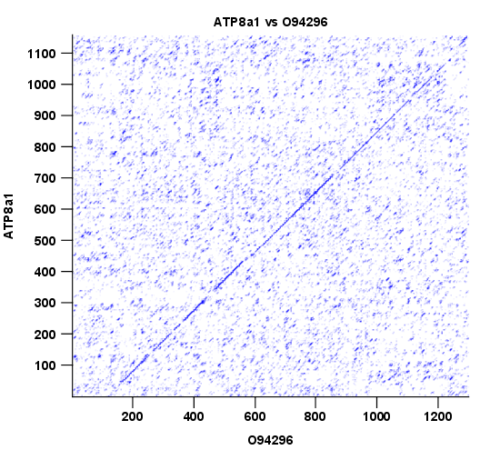 Image viewdotplot