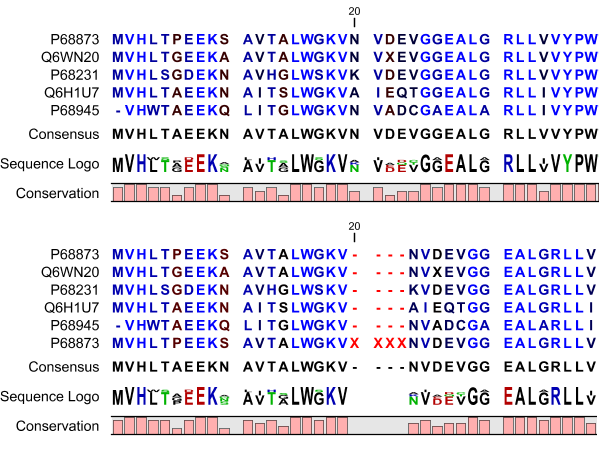 Image alignmentwithorwoinsert