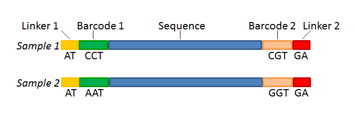 Image barcode_concept_paired_reads