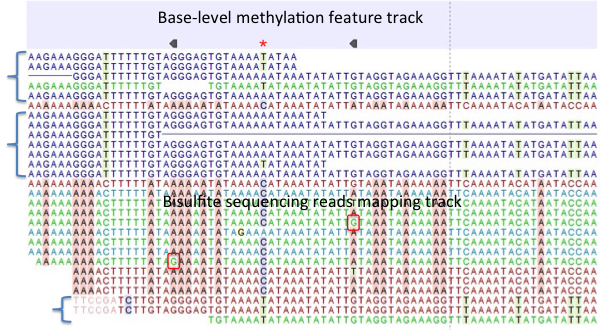 Image bisulfite-mapping