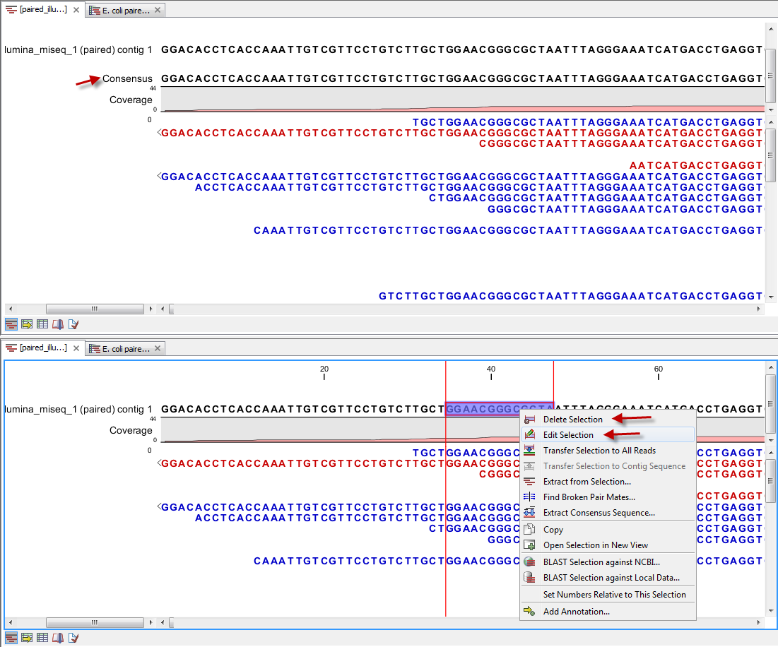 Image mapreads_to_contigs_output