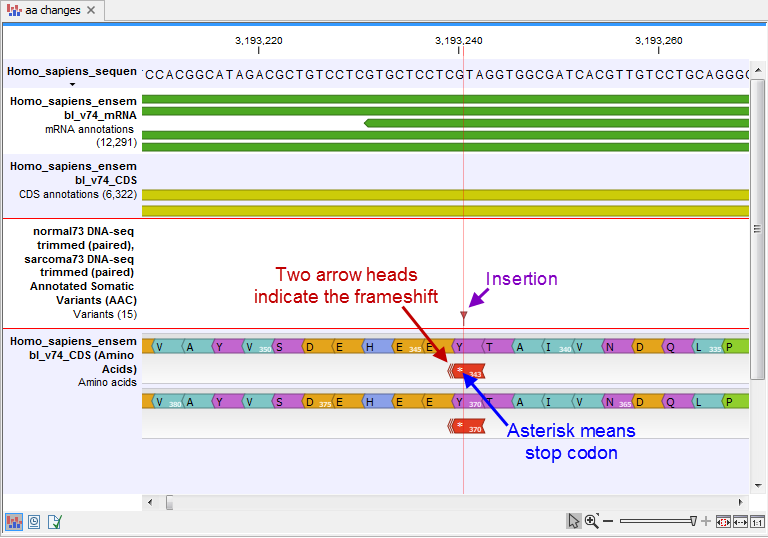 Image amino_acid_changes_frameshiftstop