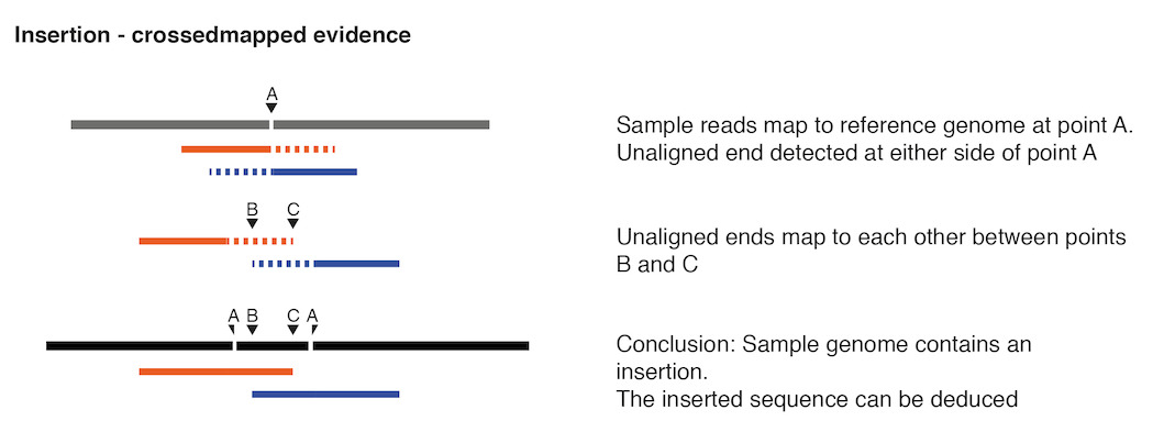 Image insertion-crossmapped