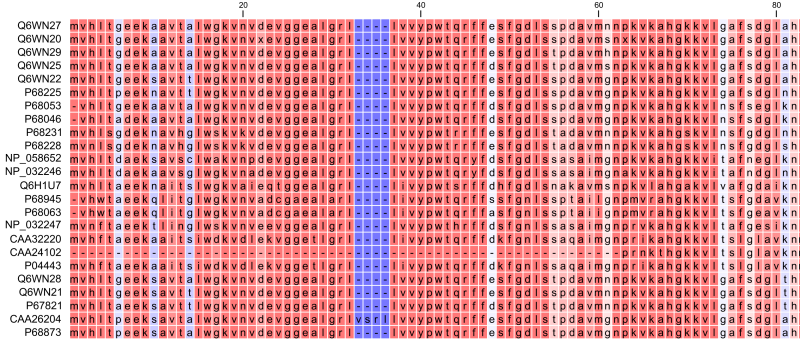 Image multipleAlignment2