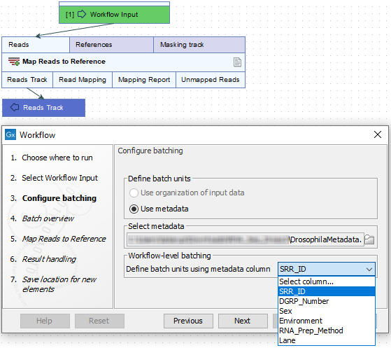 Image single_input_batch_with_metadata