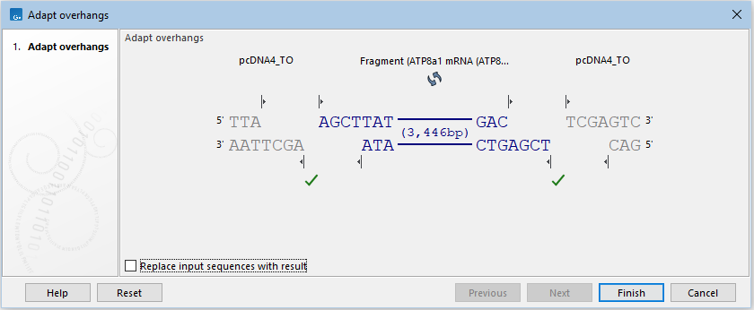 Image adaptoverhangs