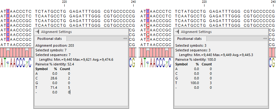 Image alignment_positional_stats