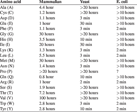 \begin{table*}\begin{tabular*}{\textwidth}{@{\extracolsep{\fill}}llll}
{\bf Ami...
... Tyr (Y) & 2.8 hours & 10 min & 2 min \\
\hline
\end{tabular*}
\end{table*}