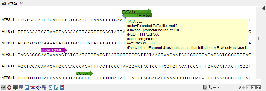 Image motif_search_output_seq