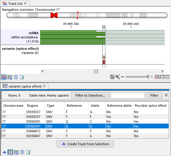 Image predict_splice_site_effect_output