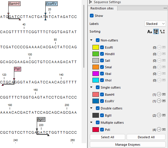Image restriction_site_closeup