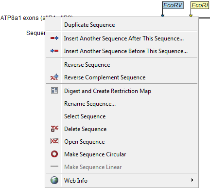 Image rightclickonsequence