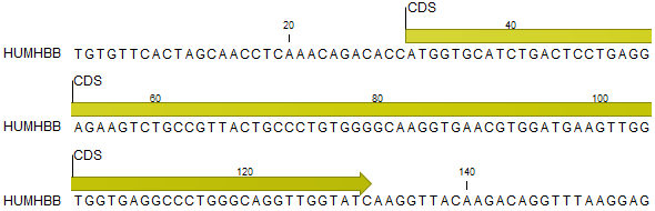 Image viewsequenceannotation