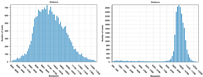 Image before_and_after_pair_estimation