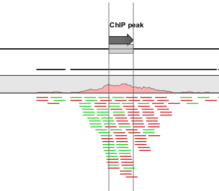 Image chip_sequencing_peak_annotation