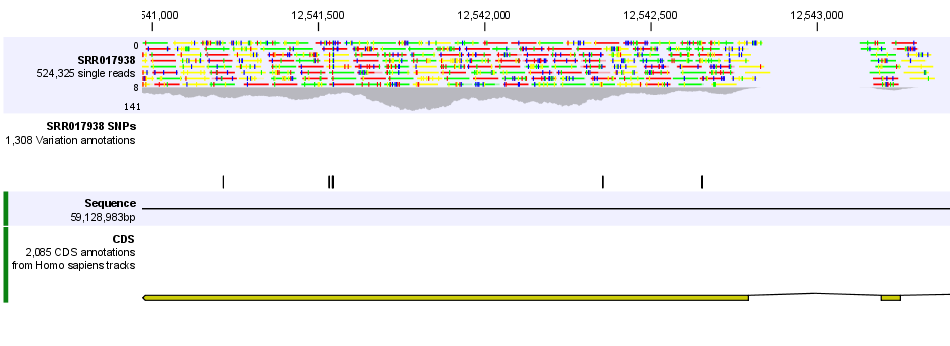 Image genomebrowserzoomedin