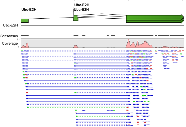 Image mrna_seq_result_contig-web