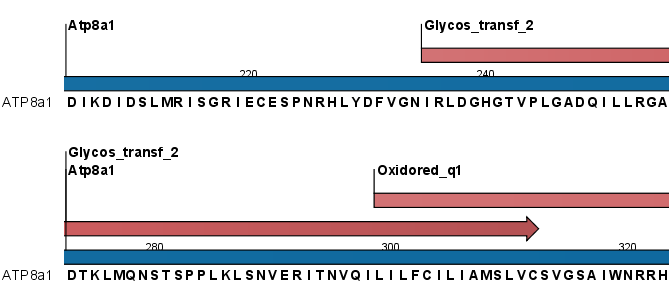 Image pfam_output