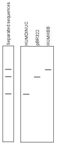 Image separatesequencesongeloutput