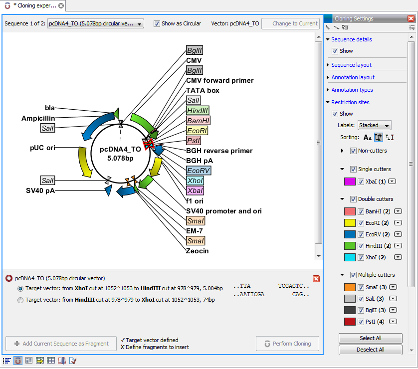 Image cloningviewinitial-restriction-sites-selected