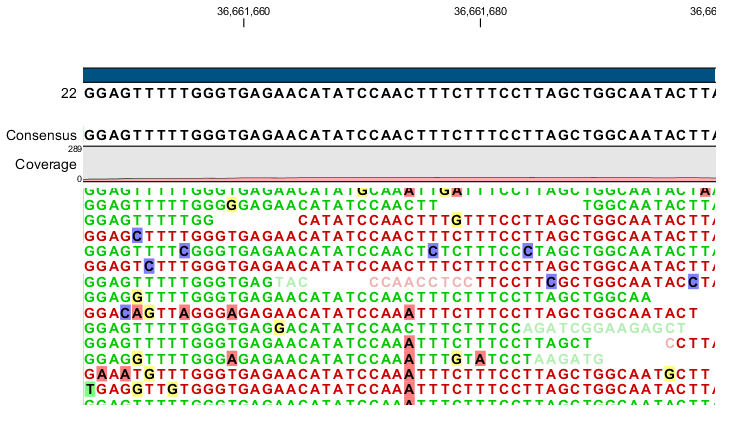 Image SNP-example