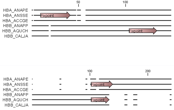 Image alignmentWithFixpoints