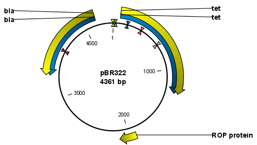 Image circular_initialview