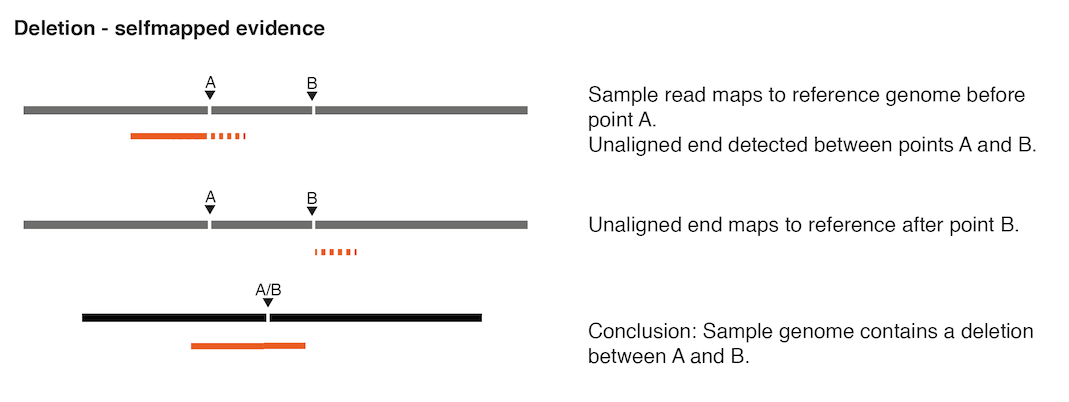 Image deletion-selfmapped