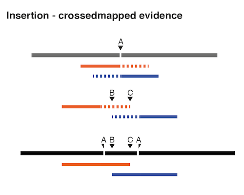 Image insertion-crossmapped