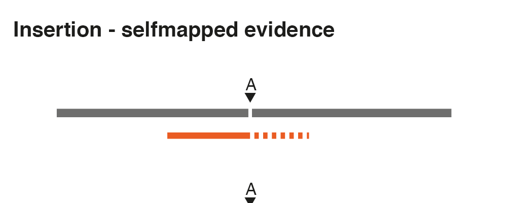 Image insertion-selfmapped