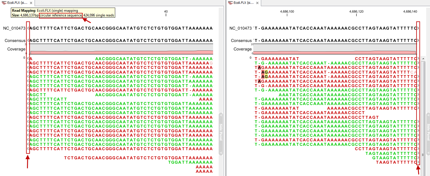 Image mapping_circular_genome