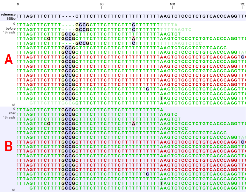 Image realignment_unalignedends