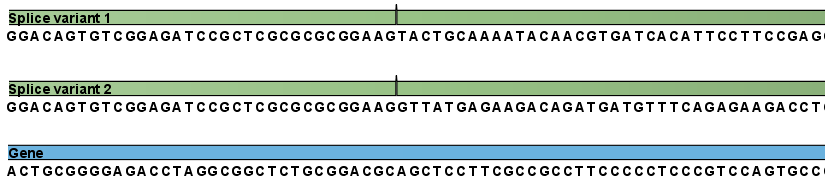 Image rnaseq_explained3