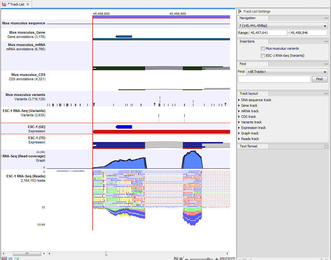 Image tracktypes