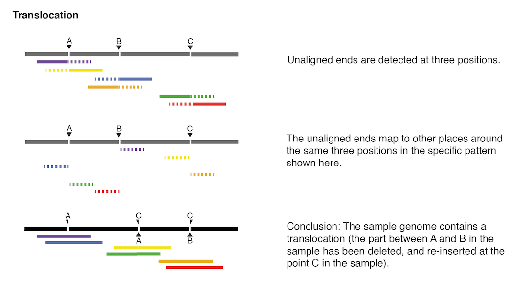 Image translocation