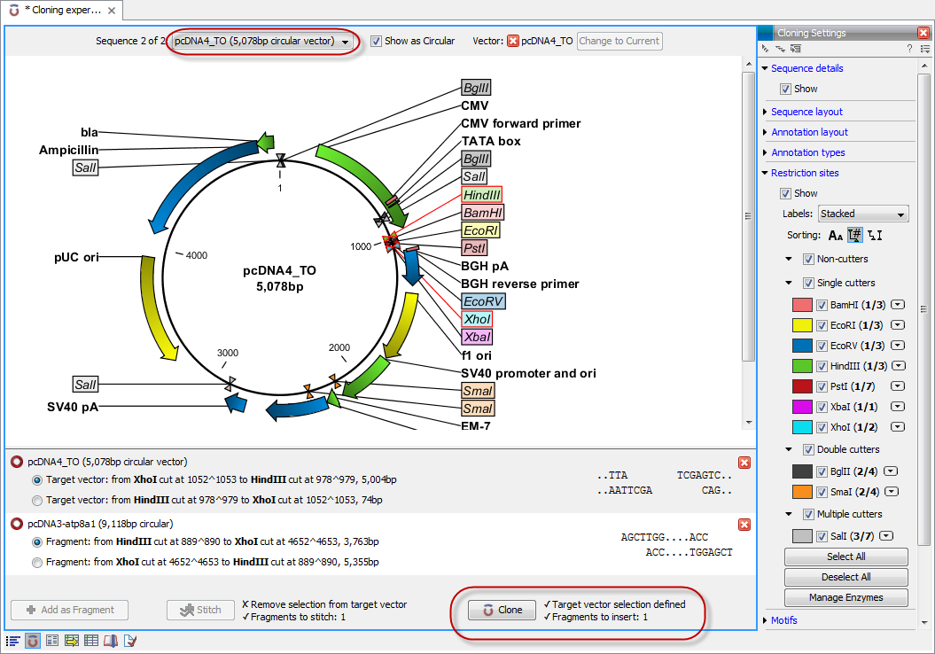 Image cloningviewinitial-restriction-sites-selected