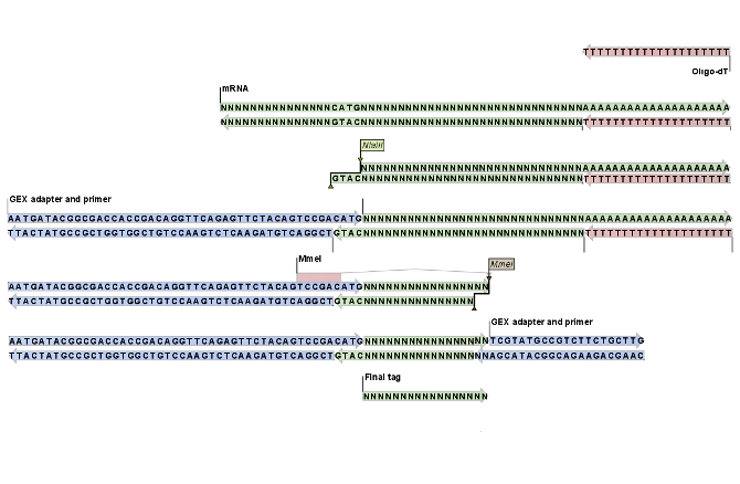 Image tags_explained-web