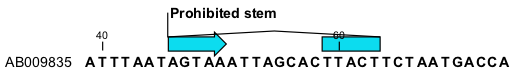 Image prohibited_stem_here_annotation