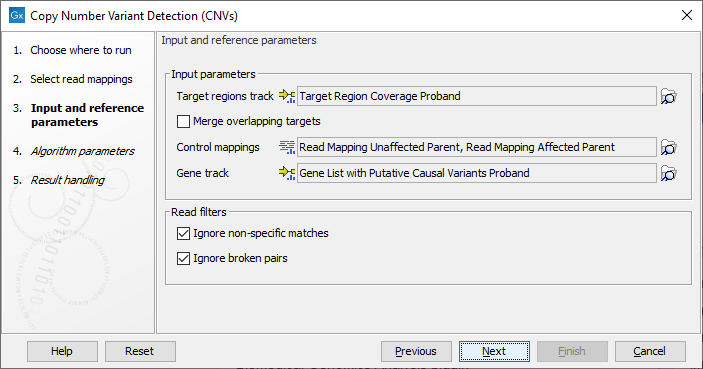 Image cnv_detection_step1