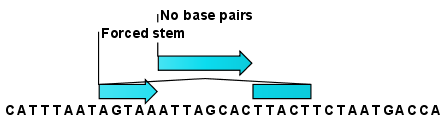 Image constraintannotations