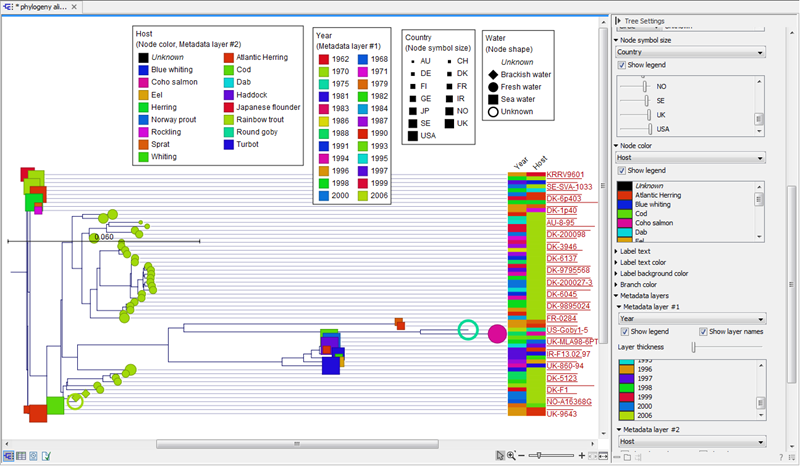 Image metadata_sidepanel_and_tree