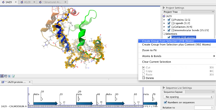 Image protein_structure_alignment_calmodulin_selection
