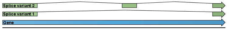 Image rnaseq_explained1